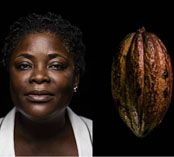 Le nuove donne del cacao. Un caso di Imprenditoria femminile in Costa d'Avorio
